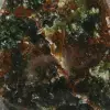 Chrysoprase naturelle - 6