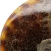 Ammonite entière polie naturelle de Madagascar - 4