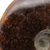 Ammonite sciée polie - 4