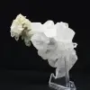 Cristal de quartz Faden Himalaya - 4
