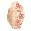 Vanadinite en cristaux - 1