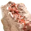 Vanadinite en cristaux - 5