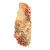Pierre en vanadinite - 3