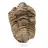 Trilobite fossile