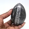 Orthocéras fossile poli - 0