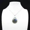 Pendentif goutte en labradorite - 9
