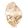Bois fossilisé polis naturel - 1