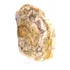 Bois fossilisé polis naturel - 3