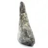 Labradorite - 5
