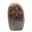 Microcline d'ornement — 2