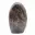 Microcline d'ornement — 5