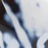 Agate d'ornement - 7