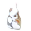 Pierre polie en Agate - 3