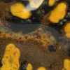 Jaspe Bumblebee d'Indonésie : Ornement en Pierre Naturelle Polie - 14