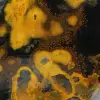 Jaspe Bumblebee d'Indonésie : Ornement en Pierre Naturelle Polie - 15