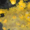 Forme Libre en Jaspe Bumblebee : Spécimen de Collection Authentique - 12