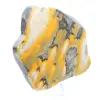 Jaspe Bumblebee : Forme Libre Polie pour Collectionneur - 5