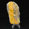 Jaspe Bumblebee : plaque de collection - 0
