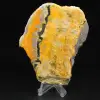 Tranche de Jaspe Bumblebee du volcan - 4