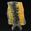 Petite plaque polie de Jaspe Bumblebee - 0