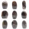 Microcline d'ornement - 0