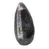 Orthocéras fossile - 0