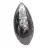 Orthocéras fossile du Maroc