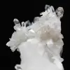 Cristal de quartz faden sur socle - 13