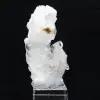 Faden cristal - 1