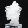 Cristallisation de quartz faden - 8