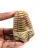Trilobite fossile