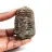 Trilobite fossile