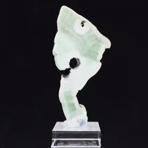 Tranche en pierre d’Aragonite verte authentique et polie
