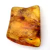 Résine fossile Ambre jaune Baltique – Galet pour amateur - 0