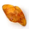Galet Ambre jaune, pierre naturelle de collection Lituanie - 0