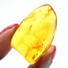 Ambre jaune Galet – Spécimen de la Baltique, objet authentique - 1