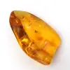 Ambre jaune Galet – Spécimen de la Baltique, objet authentique - 2