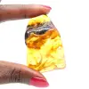 Authentique Galet d'Ambre Poli de Lituanie - Pièce de minéralogie - 1