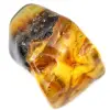 Authentique Galet d'Ambre Poli de Lituanie - Pièce de minéralogie - 0