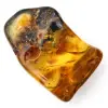 Authentique Galet d'Ambre Poli de Lituanie - Pièce de minéralogie - 2