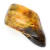 Petit Galet d'Ambre de la Baltique Poli - Authenticité Garantie - 2