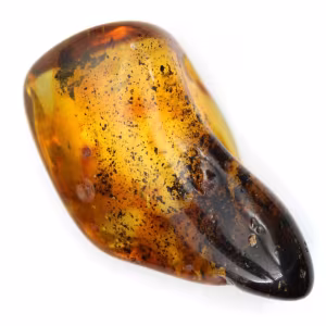 Petit Galet d'Ambre de la Baltique Poli - Authenticité Garantie