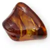 Galet d'Ambre Poli Naturel - Spécimen de Fossile de Lituanie - 2