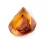 Petit Spécimen de Galet d'Ambre Poli - Authentique Lituanie - 2