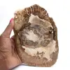 Ornement bois pétrifié tranche polie, pièce de collection, Madagascar - 0