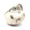 Spécimen d'Ammonite de Madagascar - Fossile Poli pour Collectionneur - 2