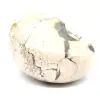 Spécimen d'Ammonite de Madagascar - Fossile Poli pour Collectionneur - 3