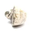 Spécimen d'Ammonite de Madagascar - Fossile Poli pour Collectionneur - 4