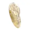 Ammonite Fossile Polie de Madagascar - Spécimen Étroit et Élancé - 3
