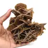 Barytine brune cristallisée du Maroc - 0